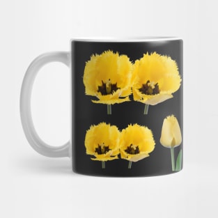 Tulipa  &#39;Crystal Star&#39;  Fringed Tulip Mug